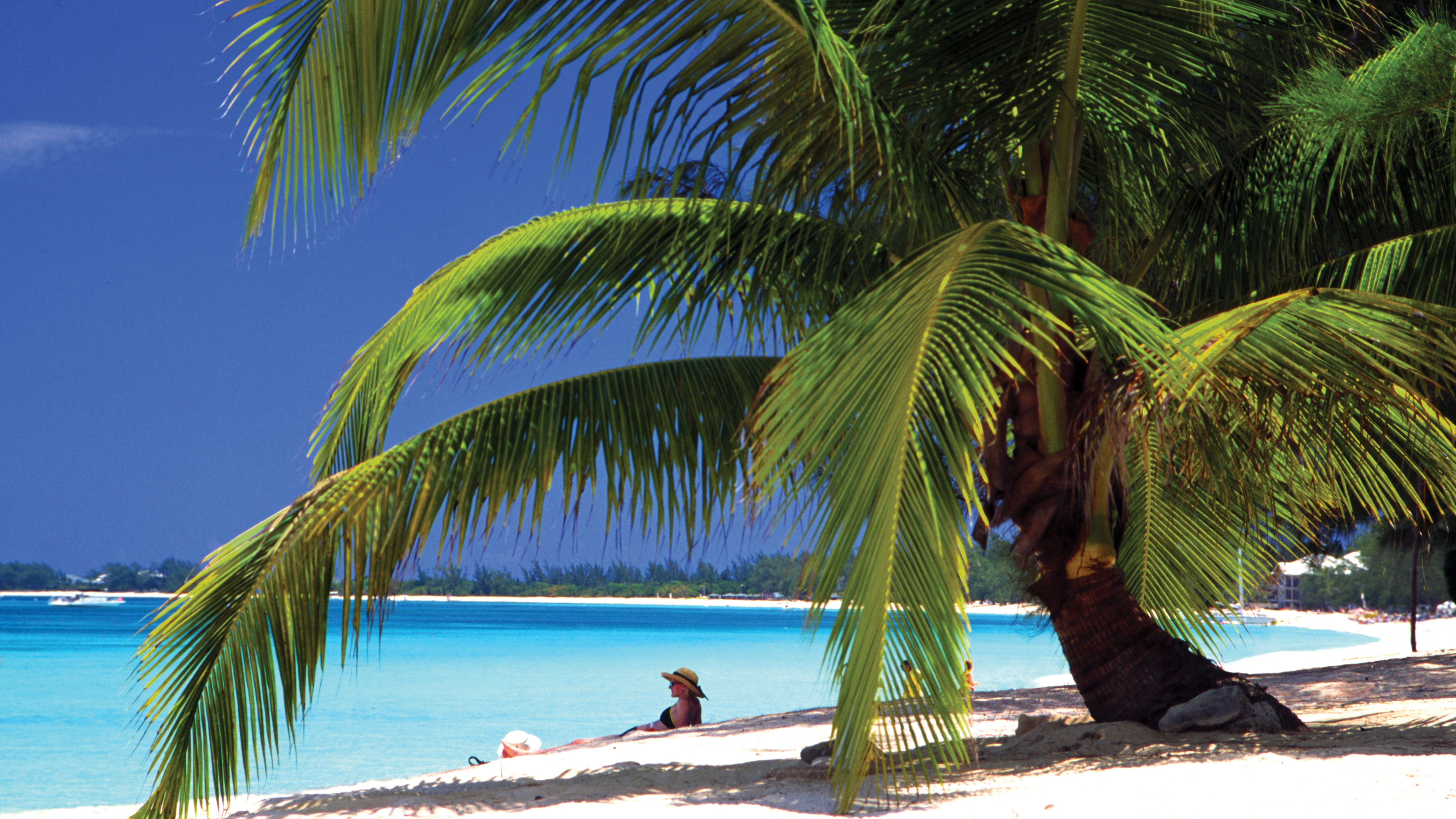 CI-LuxuryImage2011_0061_Layer_45_wondermnoms_travel_insurance_amex_travel.jpg